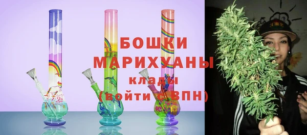 ПСИЛОЦИБИНОВЫЕ ГРИБЫ Балабаново