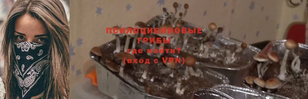 соль ск Балахна