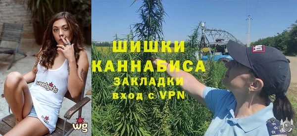 ПСИЛОЦИБИНОВЫЕ ГРИБЫ Балабаново