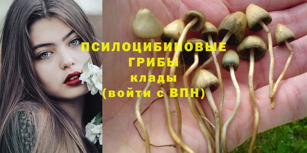 ПСИЛОЦИБИНОВЫЕ ГРИБЫ Балабаново