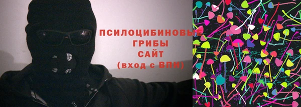 соль ск Балахна