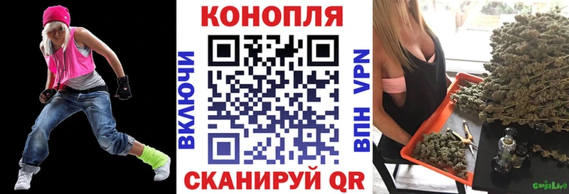 Каннабис индика купить наркотик Калининец